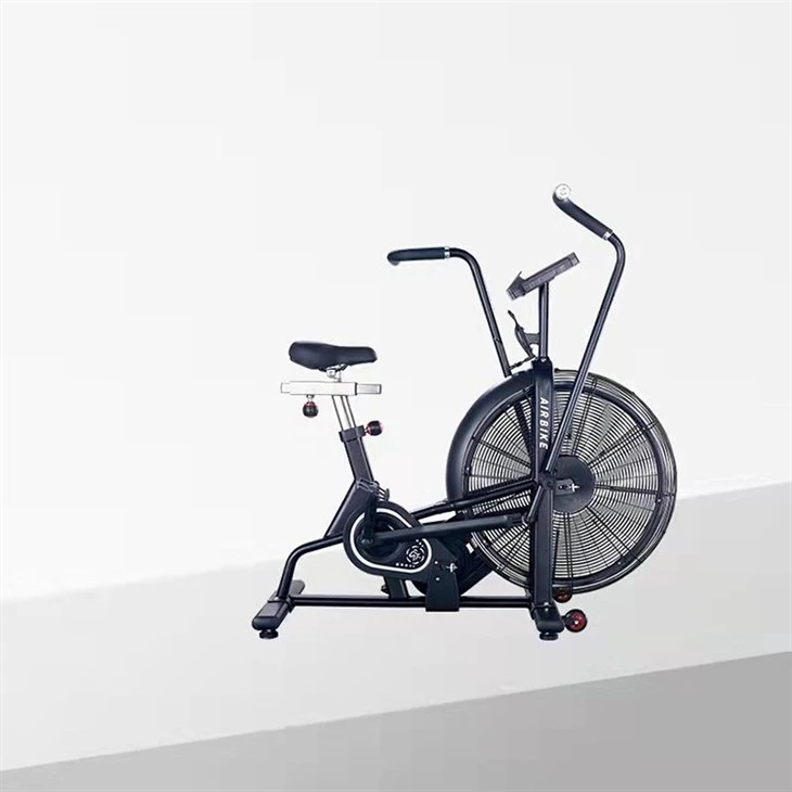 Classic Fitness Exercise Assult Air Bike